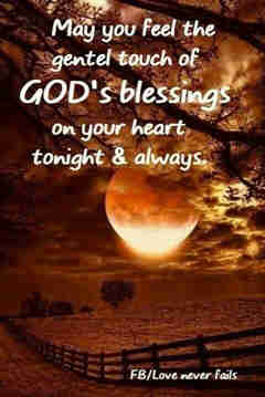 Good Night Love Quotes